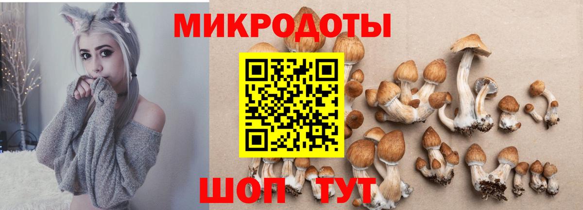 Балтийск  Галлюциногенные грибы прущие грибы  Вход с VPN  Галлюциногенные грибы мухоморы 